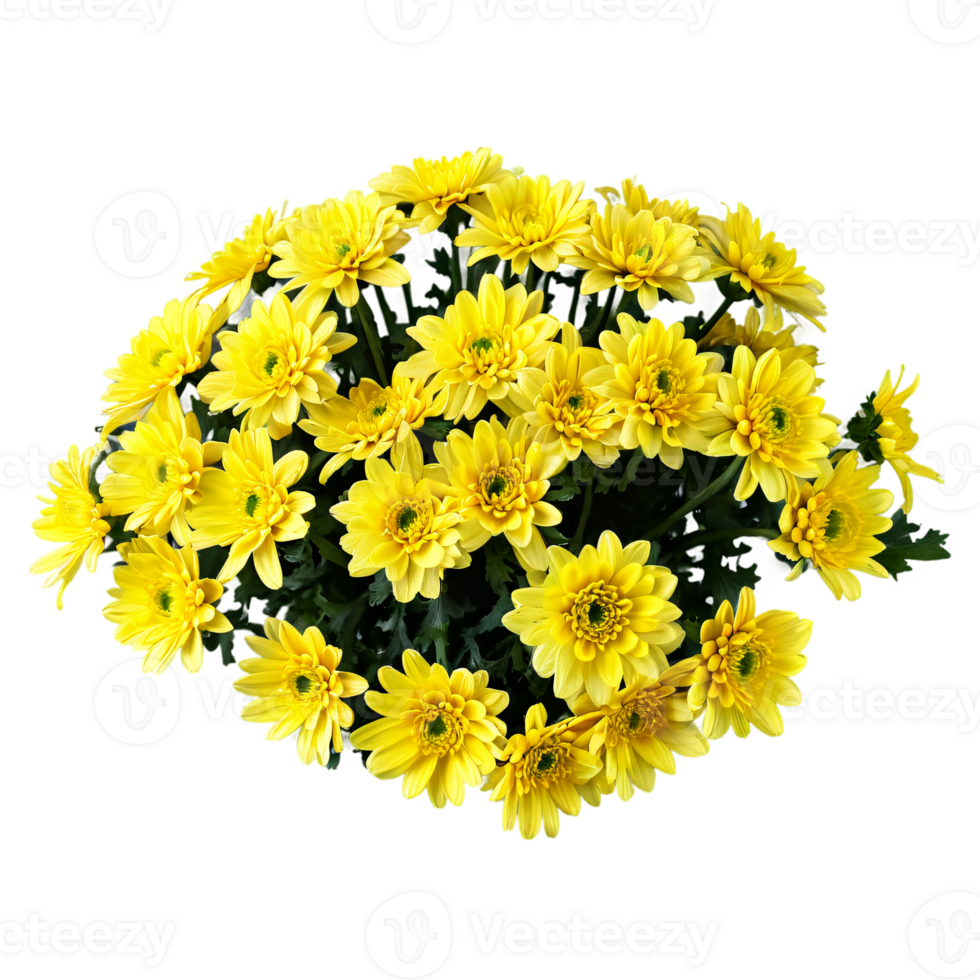 Yellow chrysanthemum flowers bouquet with leaves transparent isolated png