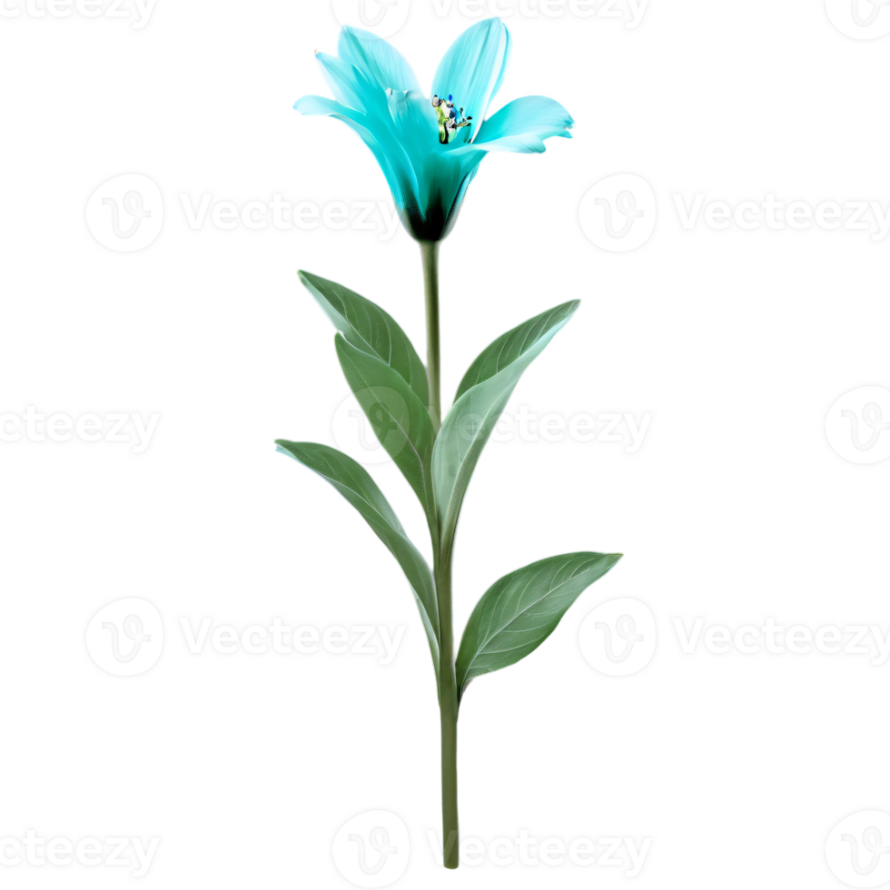 Close up macro photo of turquoise spring flower with leaves transparent isolated png