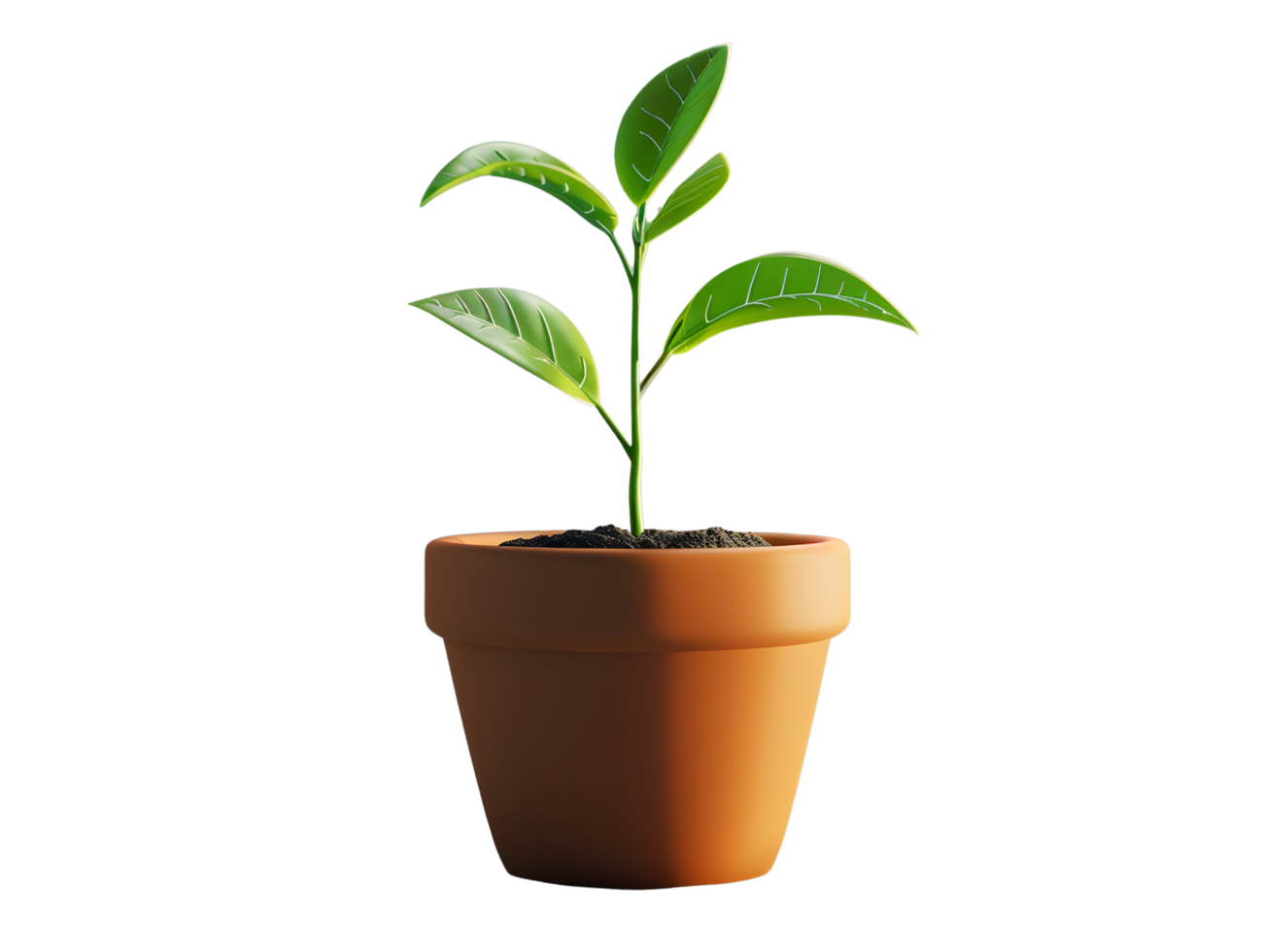 green plant in brown terracotta pot, 3d element illustration png