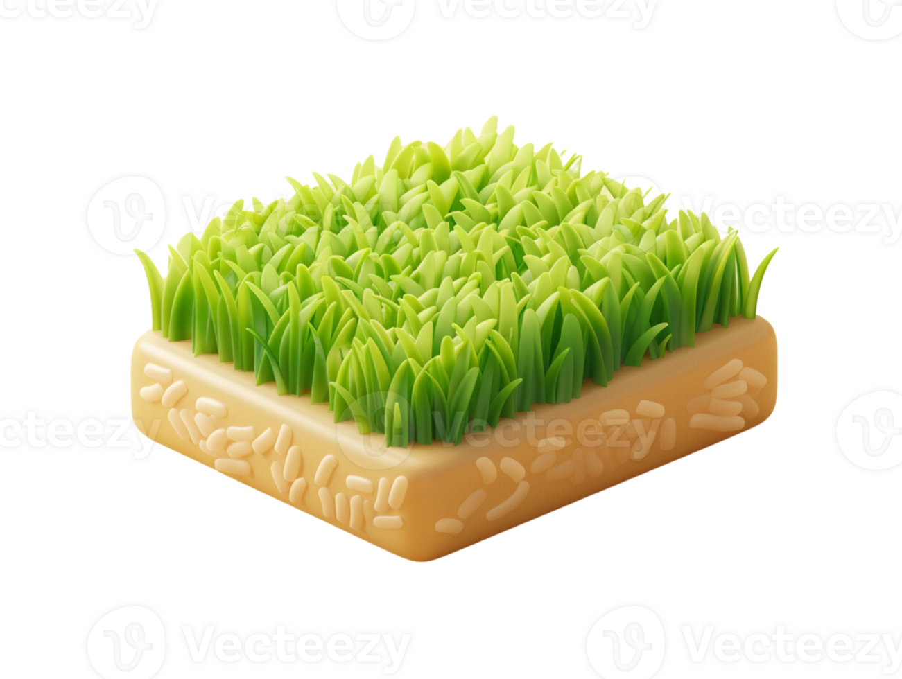 3d illustration of a rice field png
