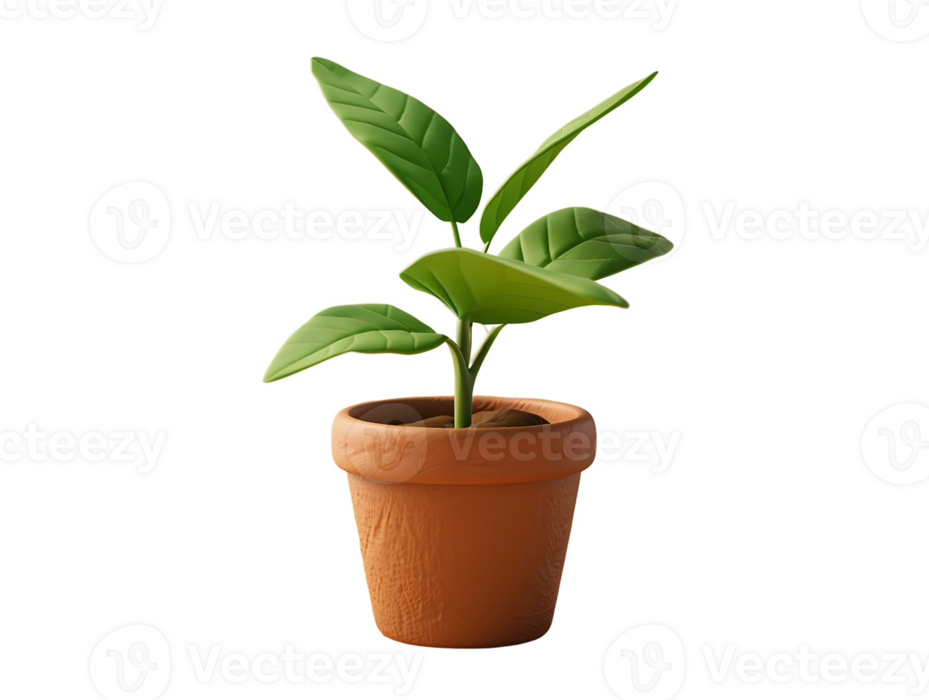 a plant in a terracotta pot, 3d element illustration png
