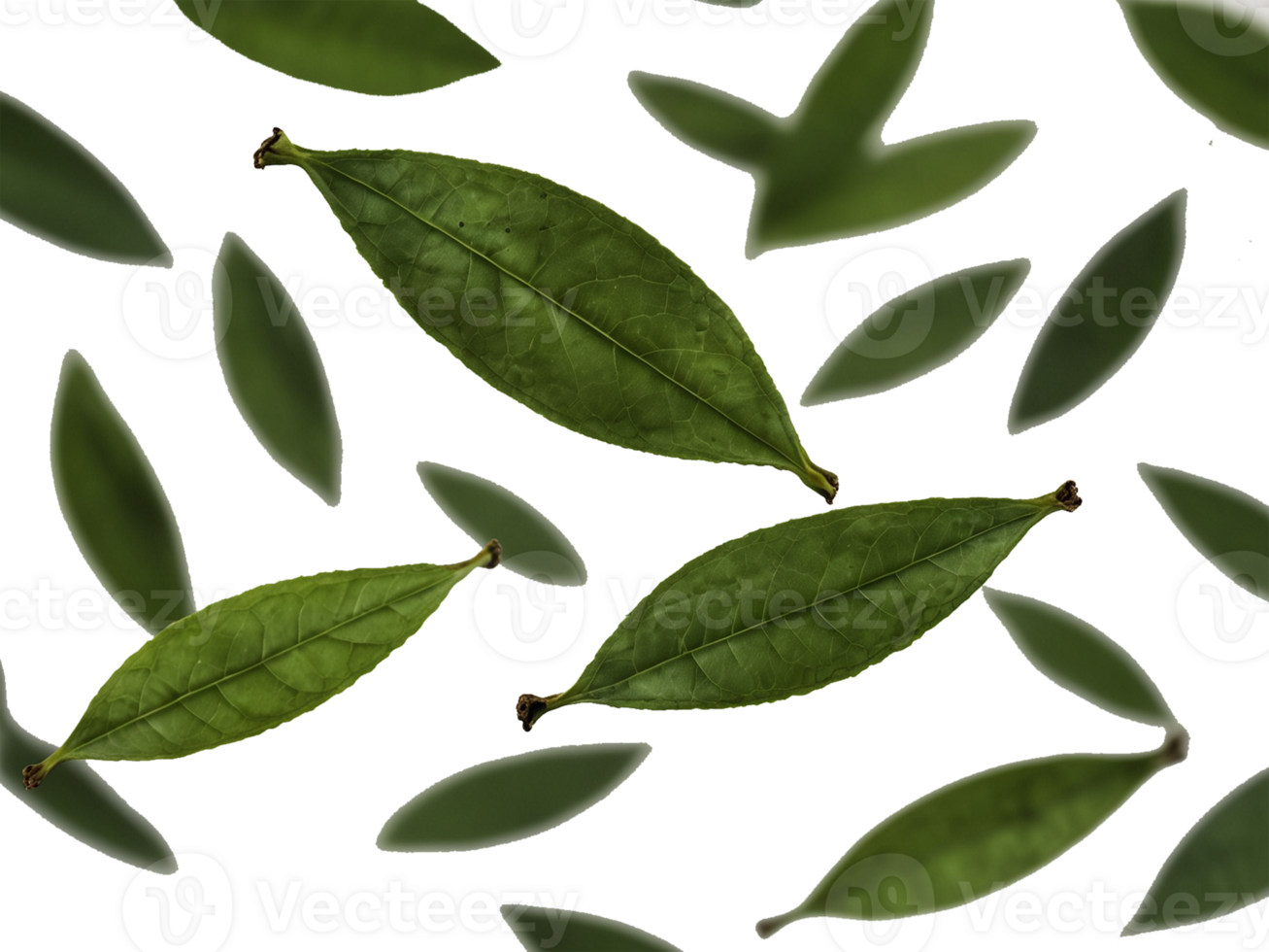transparente volador untado verde té. Fresco verde hojas aislado en un transparente antecedentes. png