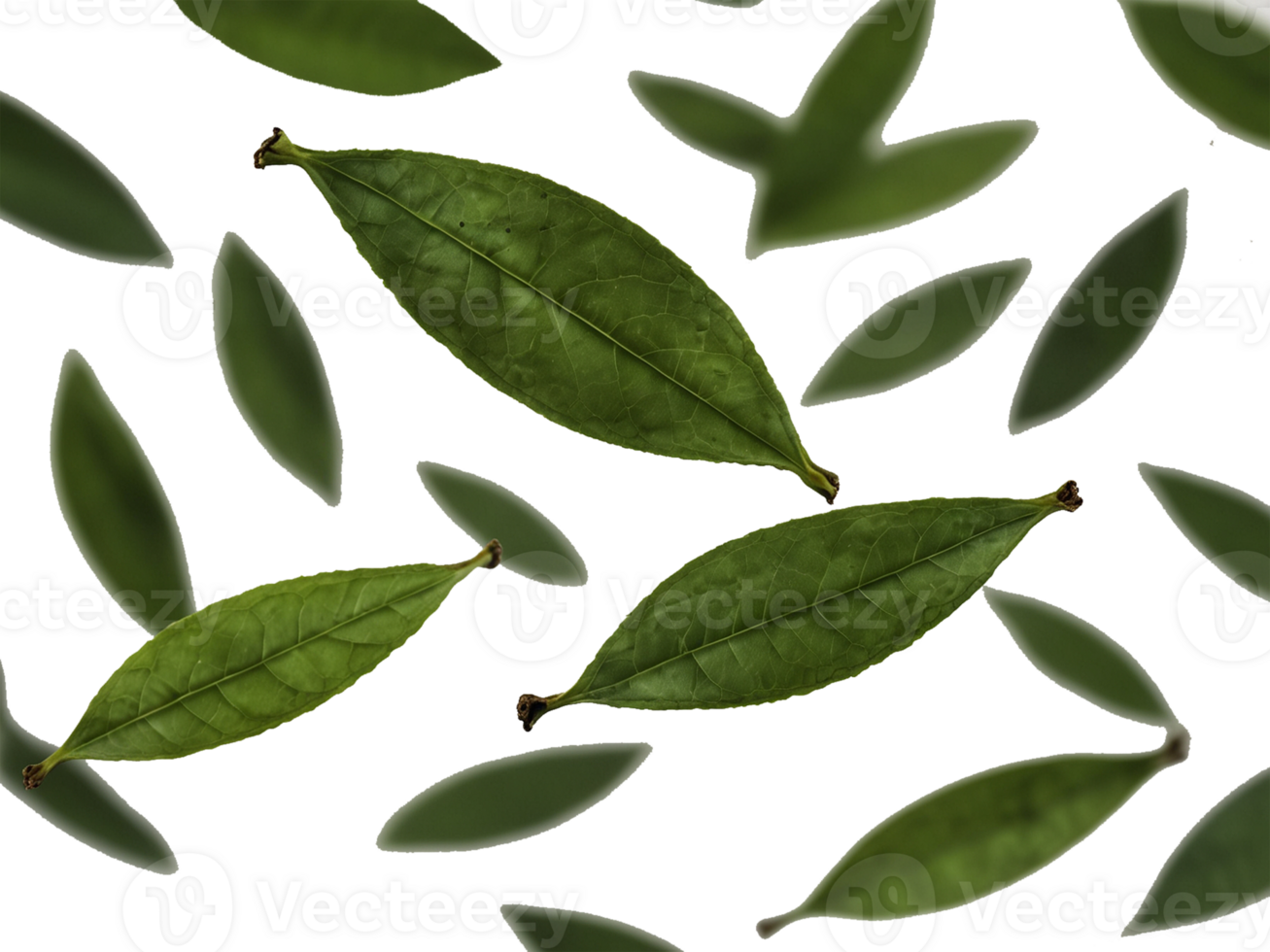 Transparent flying spread green tea. Fresh Green Leaves Isolated on a transparent Background. png