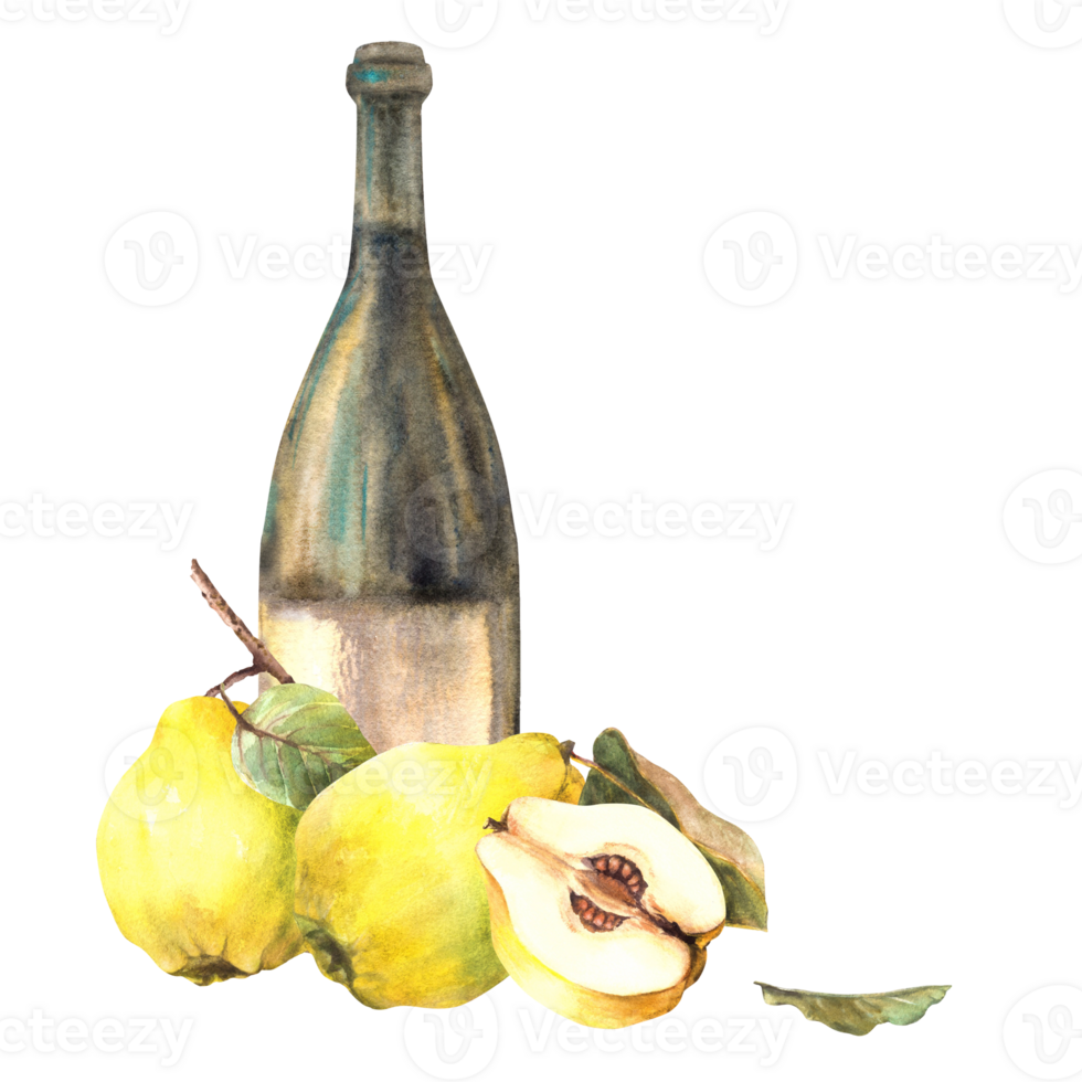 kvitten frukt med flaska av vin, mogen gul hela och skära frukt. frukt sprit, vin, brännvin, juice, alkohol dryck märka, klistermärke skriva ut vattenfärg hand dragen illustration bakgrund png