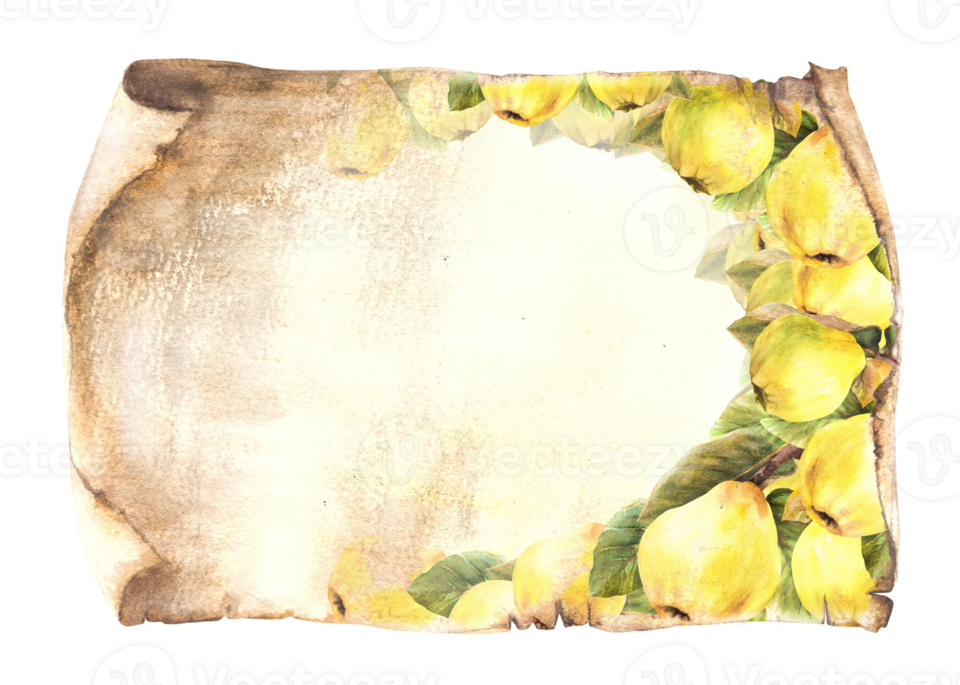 Branch of ripe quince fruit on an old sheet of papyrus, vintage scroll paper background. Watercolor hand drawn illustration. Clipart for food menu, drinks list template, card banner print. png