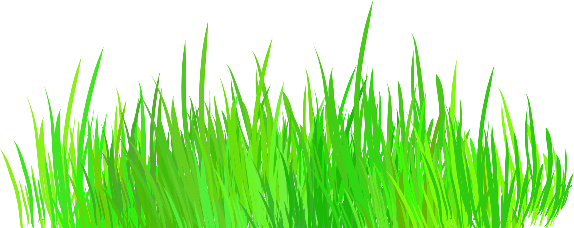 Green grass field on transparent background png