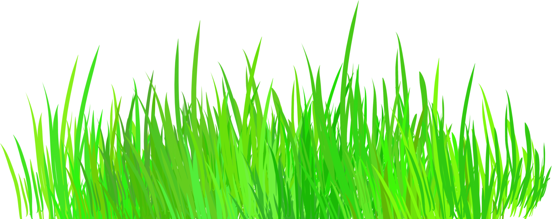 Grün Gras Feld auf transparent Hintergrund png