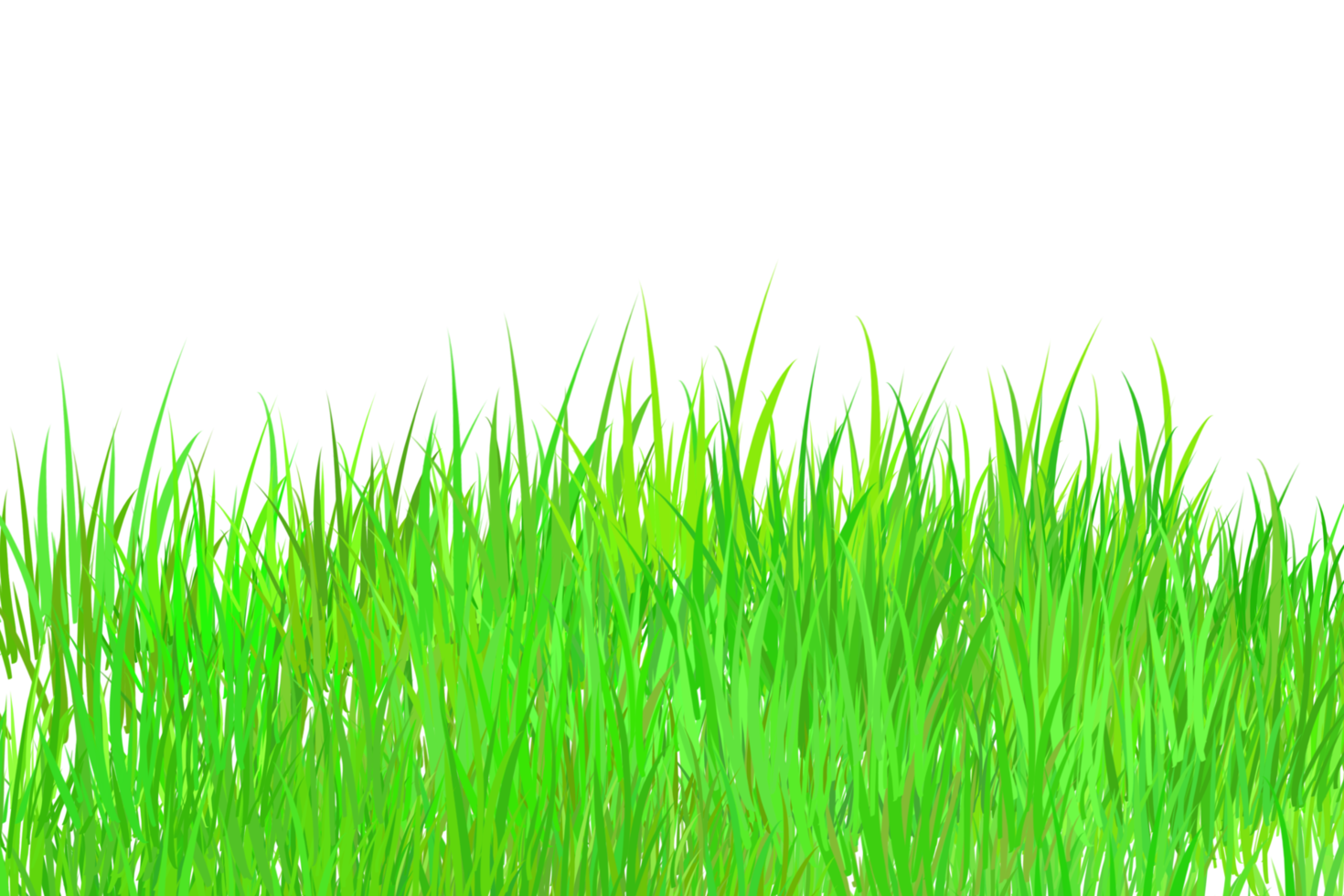 Grün Gras Feld auf transparent Hintergrund png