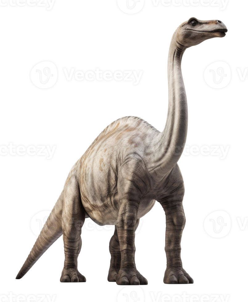 brachiosaurus dinosaurio aislado en transparente antecedentes png