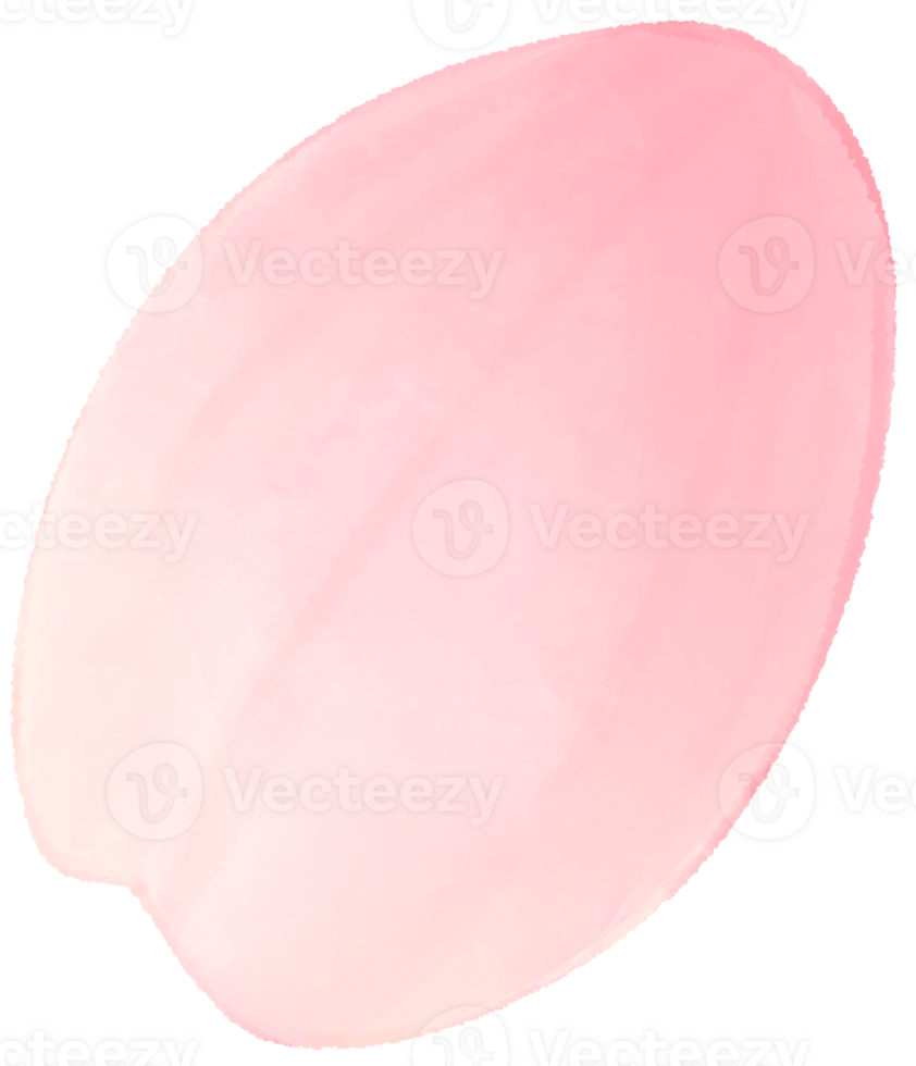 Cherry blossom water color cartoon style hand drawn illustration sakura png