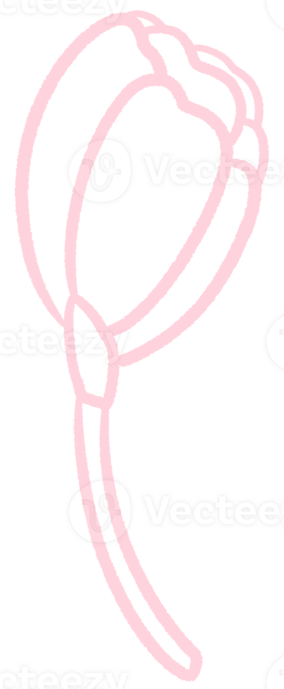 Cherry blossom lineart outline cartoon style hand drawn illustration sakura png