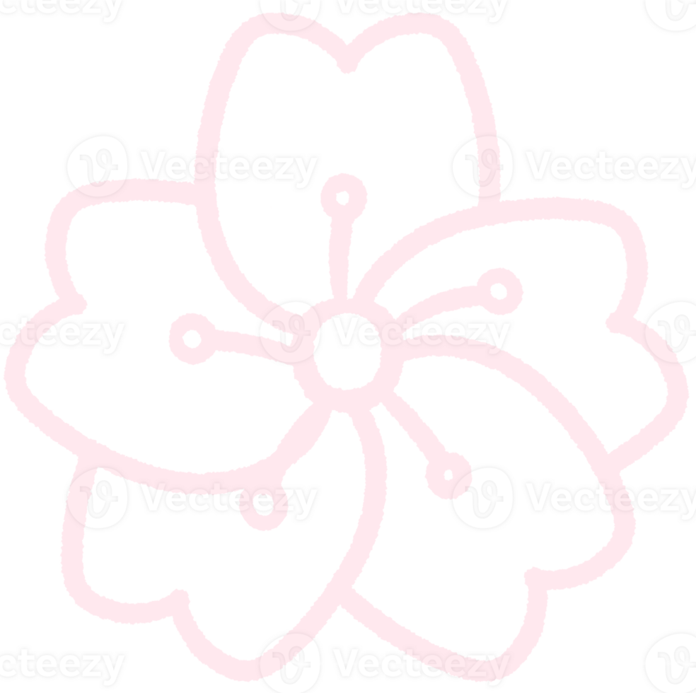 Cherry blossom lineart outline cartoon style hand drawn illustration sakura png