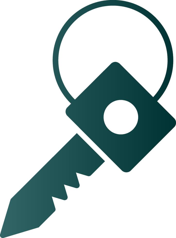 Key Glyph Gradient Icon vector