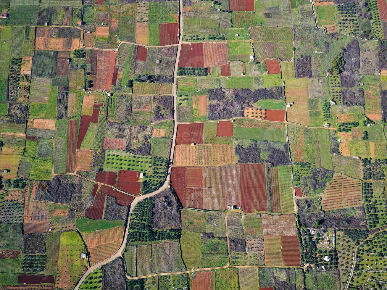 Aerial view of agriculture fields. Stari Grad Plain Hvar Island in Croatia. photo