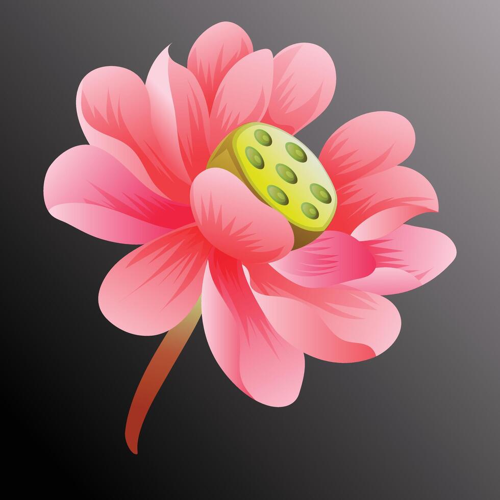 lotus flower object game props vector