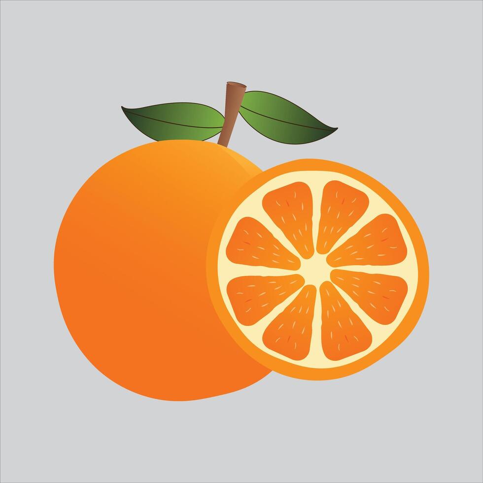 orange cartoon design vector