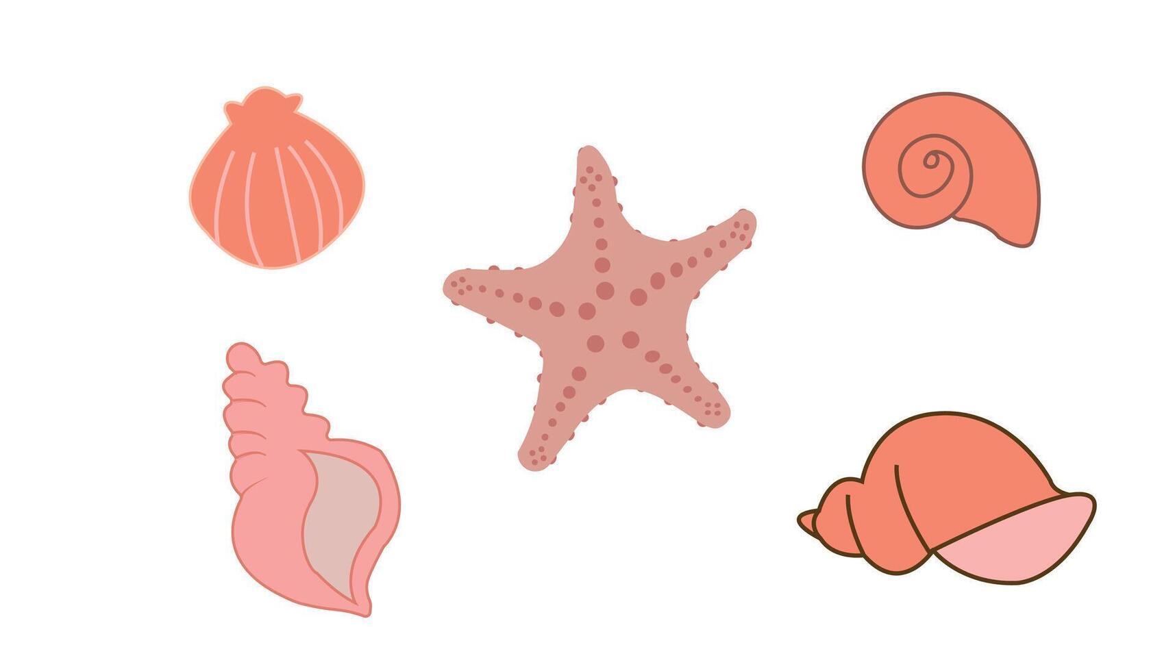 Set of seashells and starfish on white background. Flat cartoon style. Summer vacation collection, tropical beach shells. vector