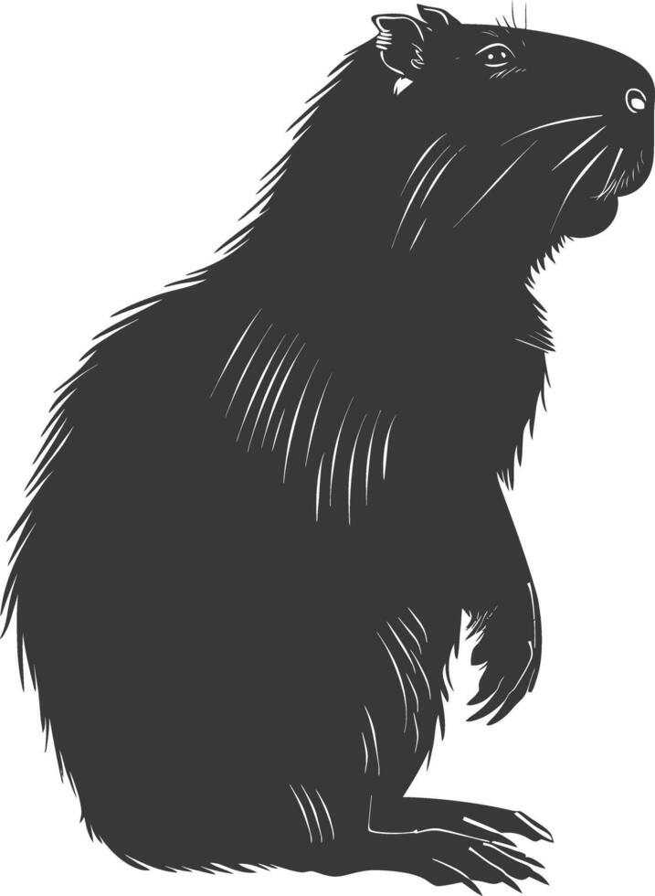 Silhouette capybara animal black color only full body vector