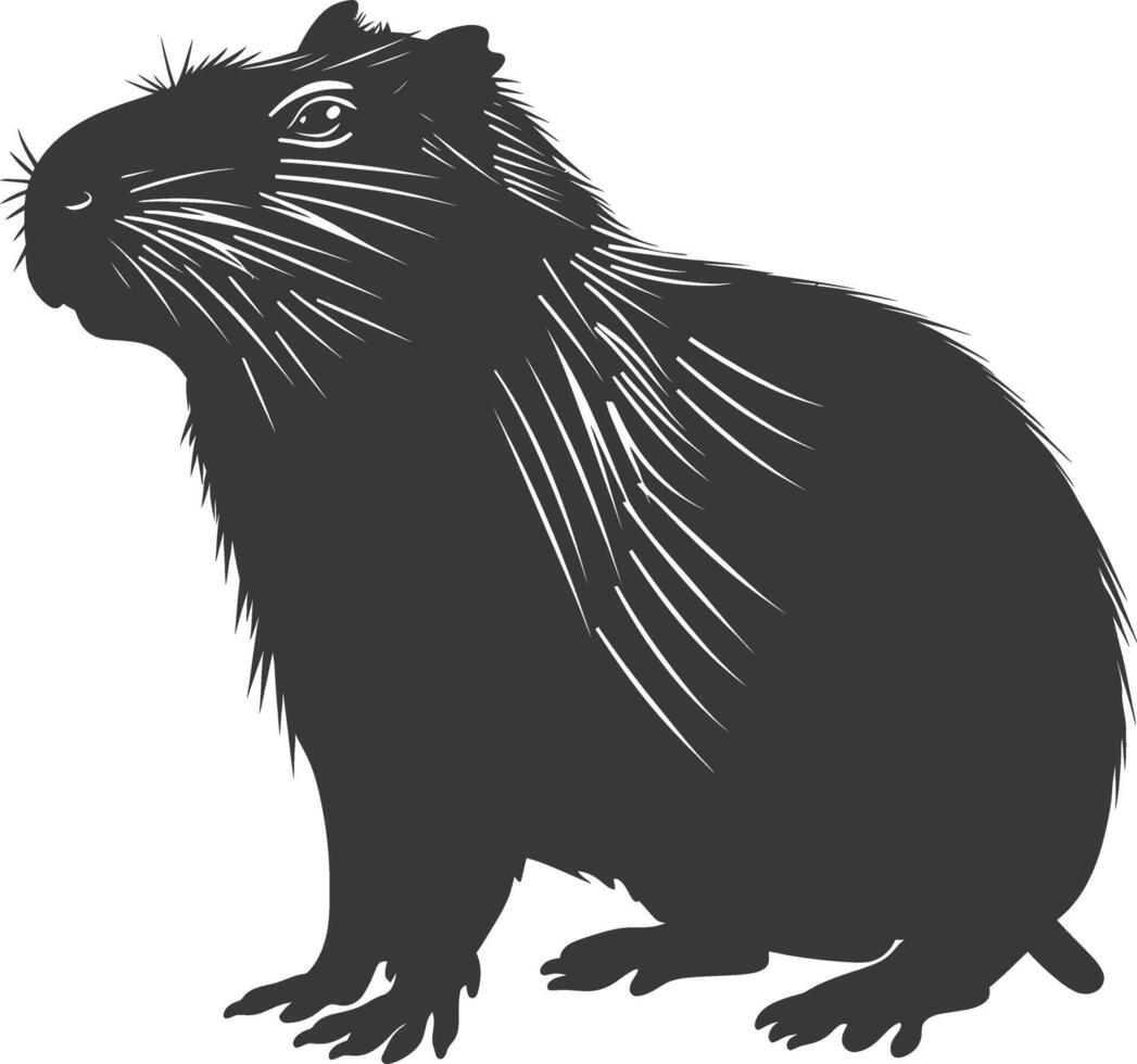 Silhouette capybara animal black color only full body vector