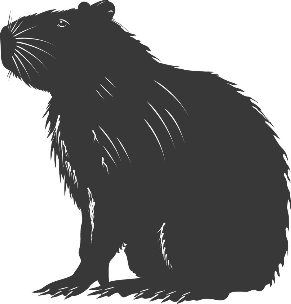 Silhouette capybara animal black color only full body vector
