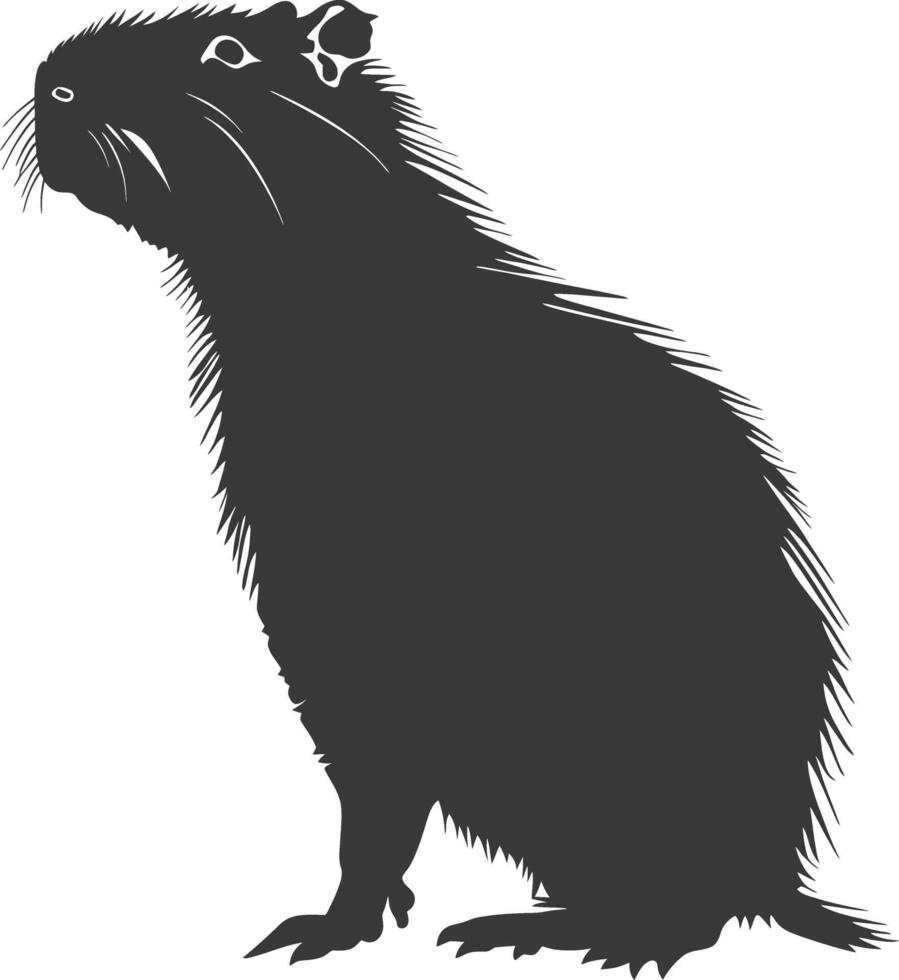 Silhouette capybara animal black color only full body vector