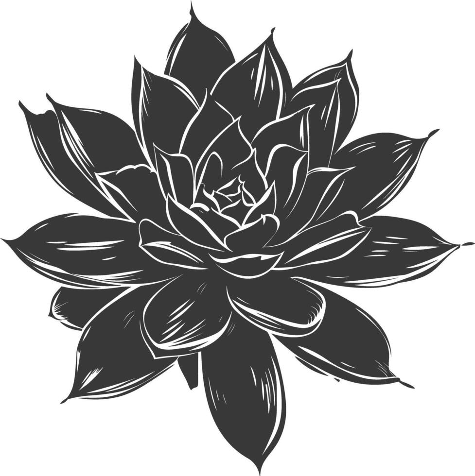 Silhouette Succulent plant black color only vector