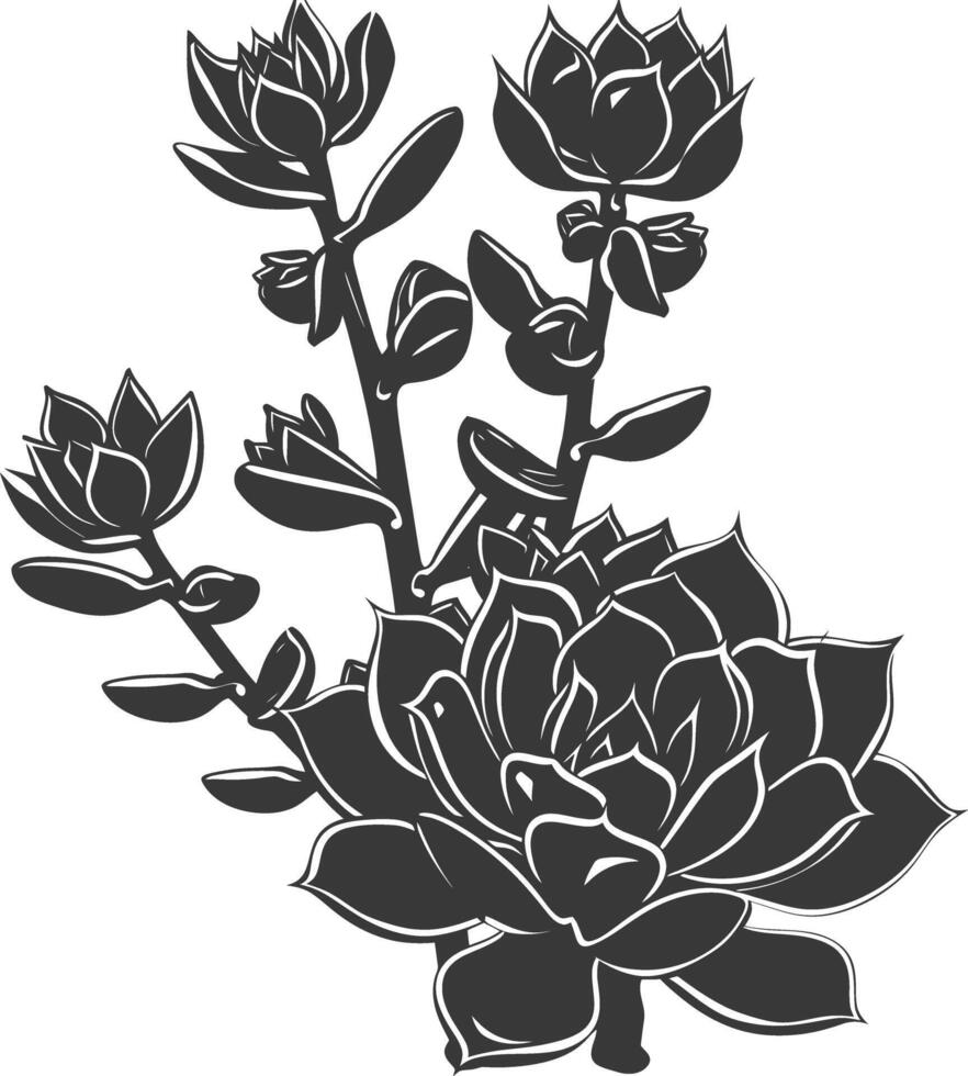 Silhouette Succulent plant black color only vector