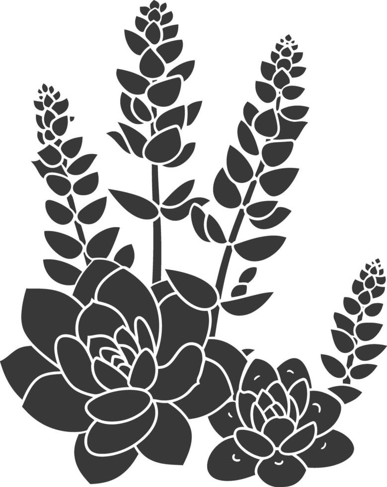 Silhouette Succulent plant black color only vector