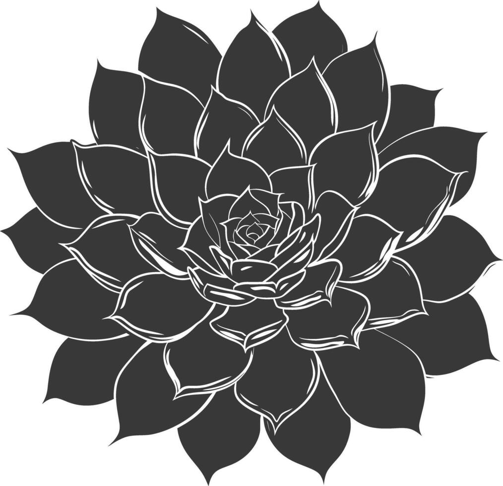 Silhouette Succulent plant black color only vector