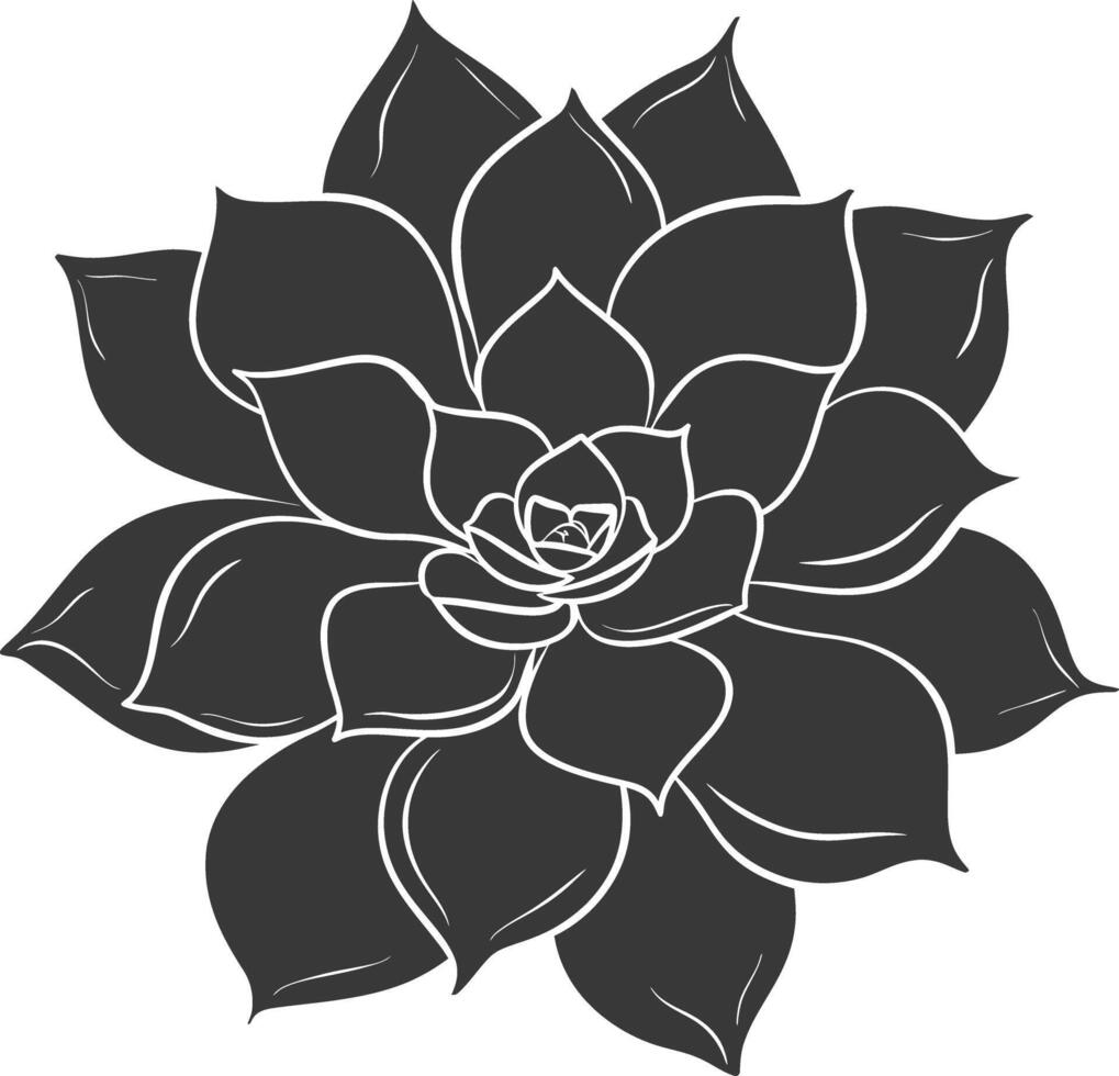 Silhouette Succulent plant black color only vector