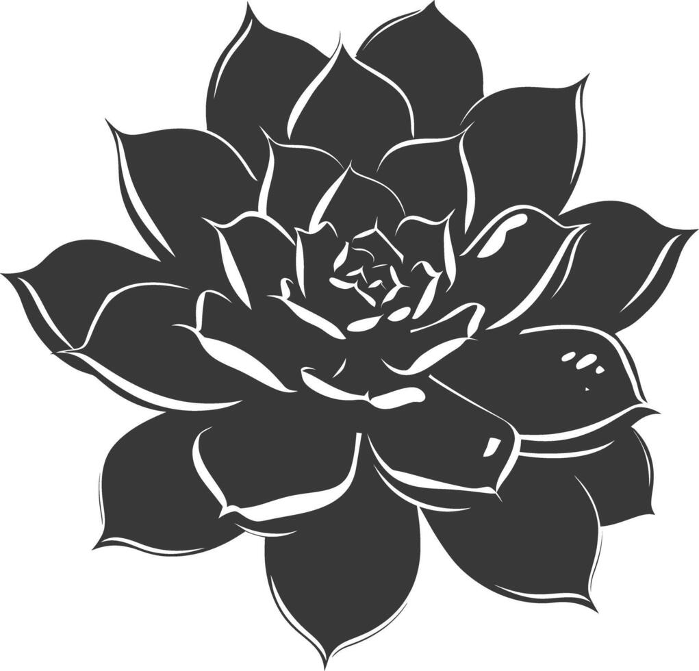 Silhouette Succulent plant black color only vector