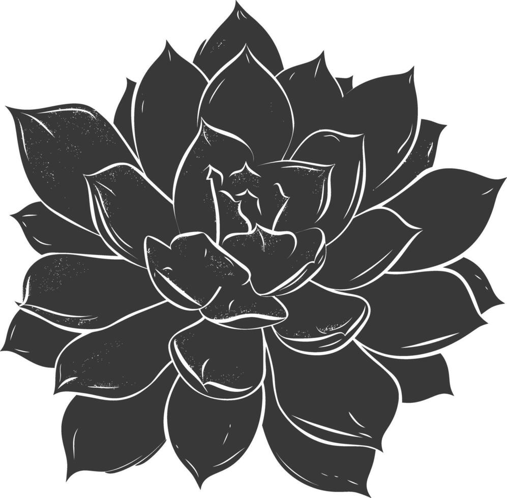 Silhouette Succulent plant black color only vector