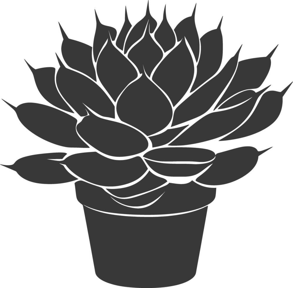 Silhouette Succulent plant black color only vector