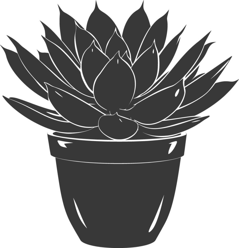 Silhouette Succulent plant black color only vector