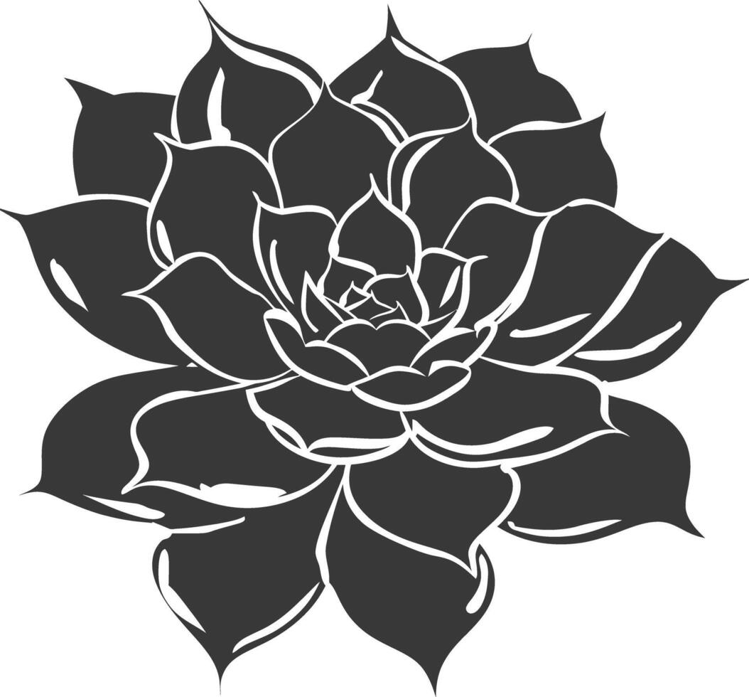 Silhouette Succulent plant black color only vector