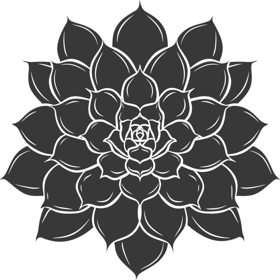 Silhouette Succulent plant black color only vector