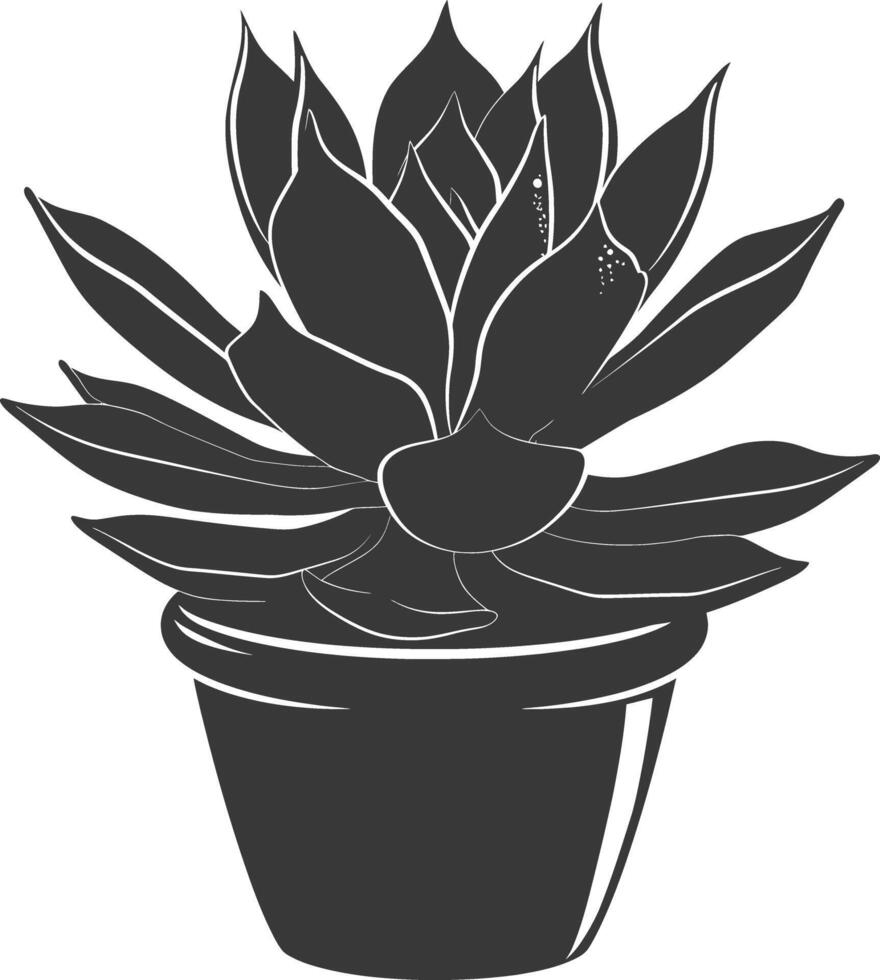 Silhouette Succulent plant black color only vector