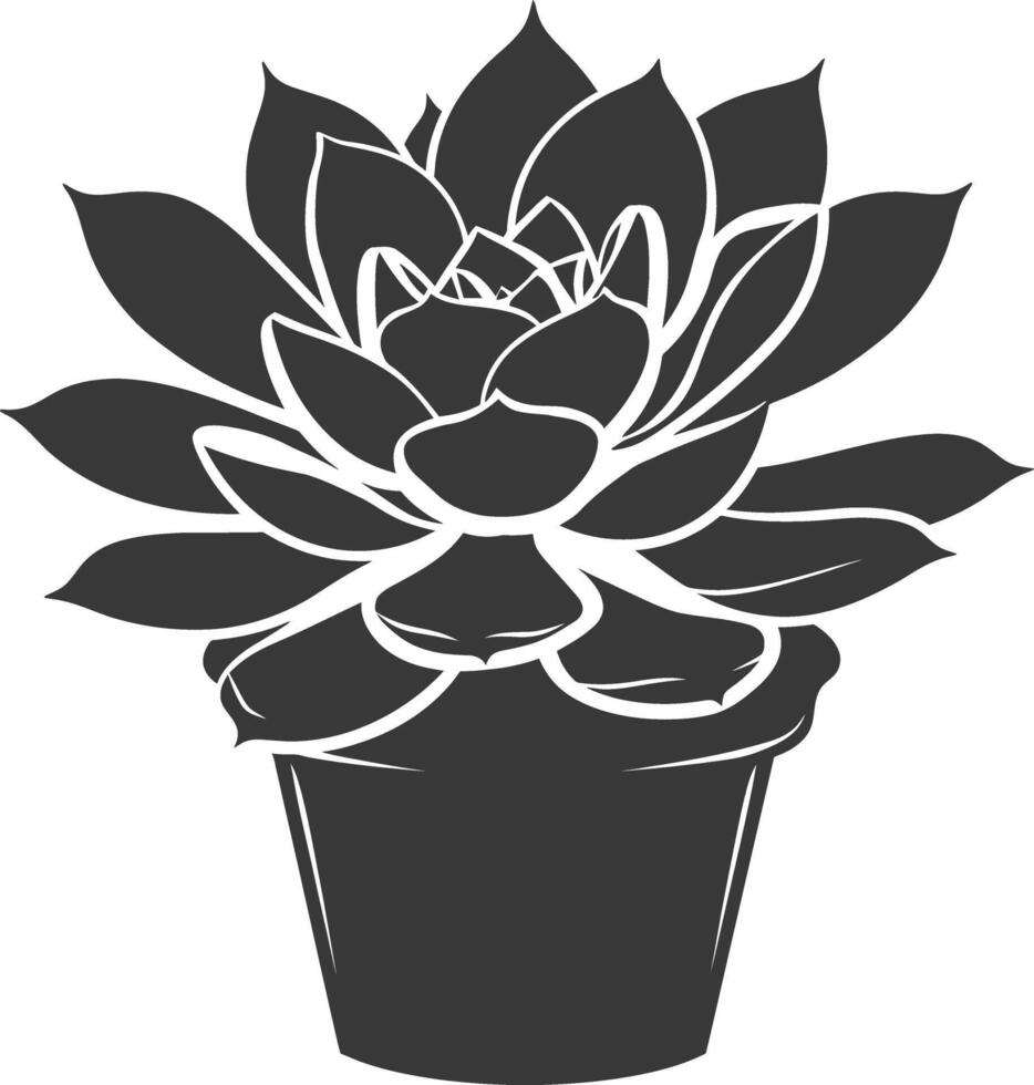 Silhouette Succulent plant black color only vector