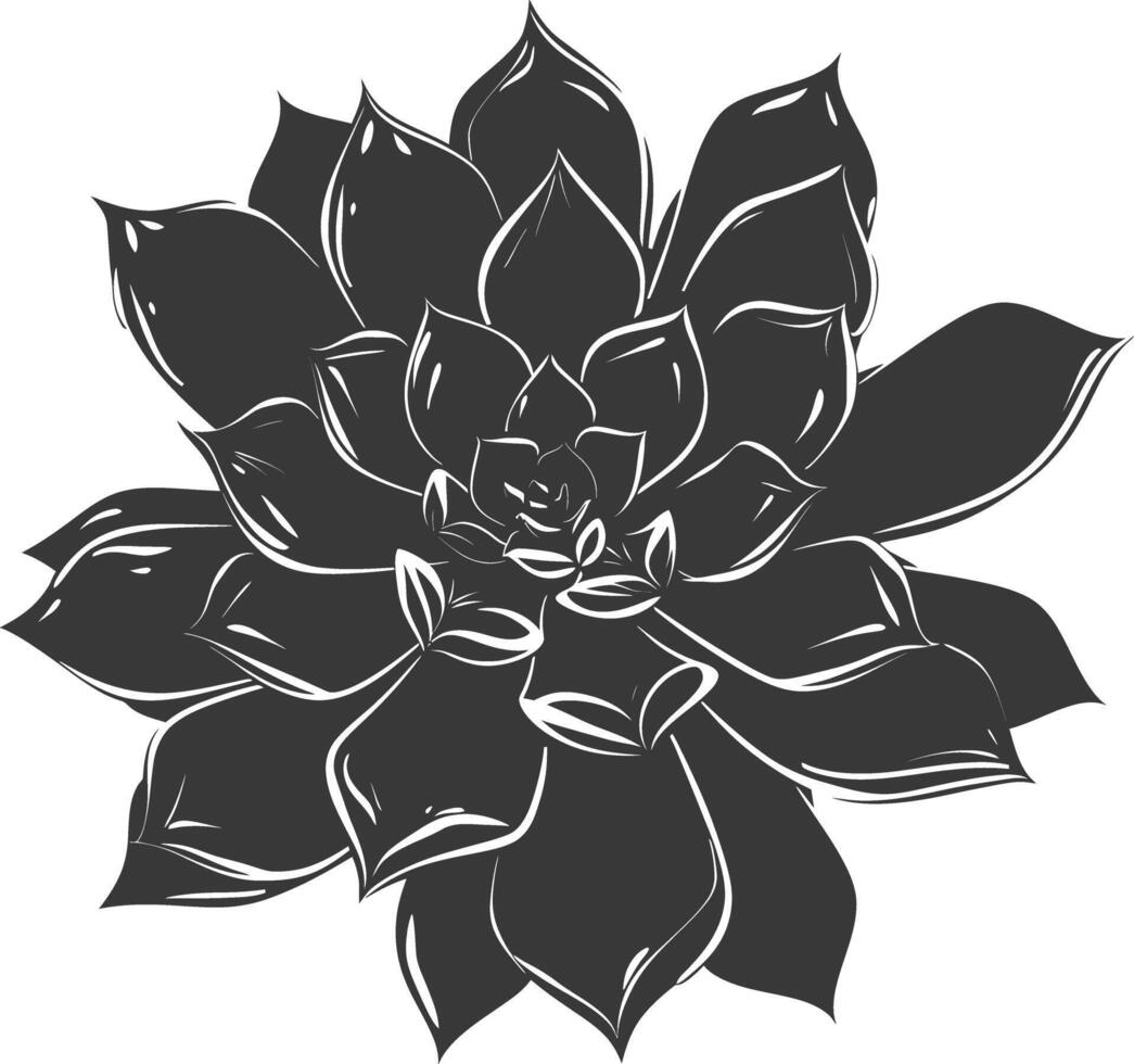 Silhouette Succulent plant black color only vector