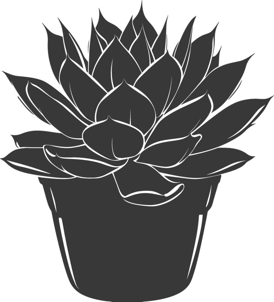 Silhouette Succulent plant black color only vector