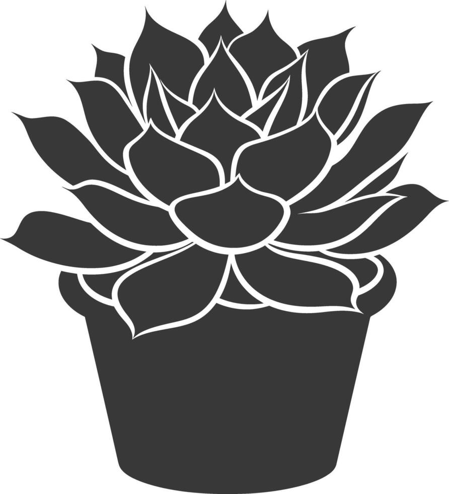 Silhouette Succulent plant black color only vector