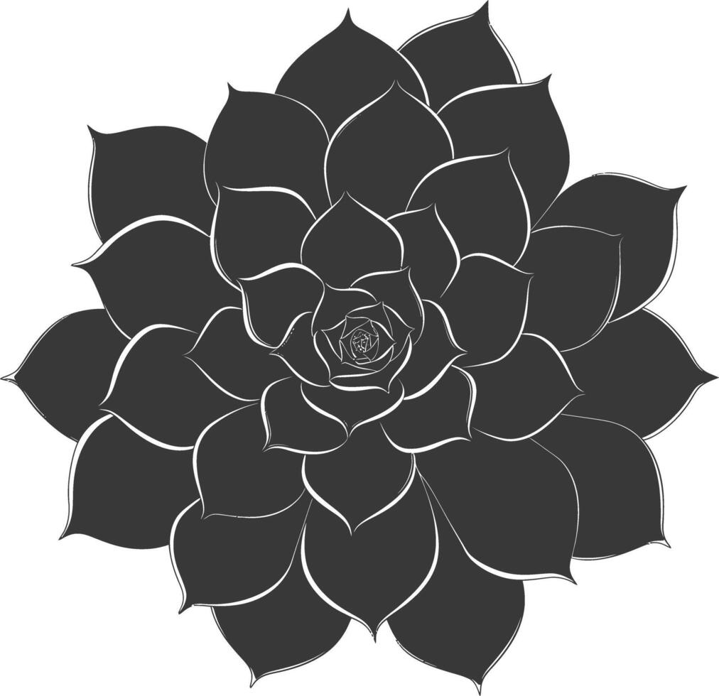Silhouette Succulent plant black color only vector