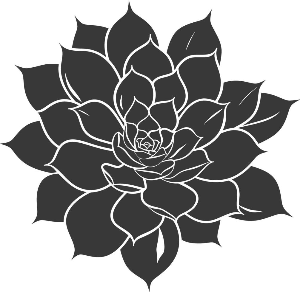 Silhouette Succulent plant black color only vector