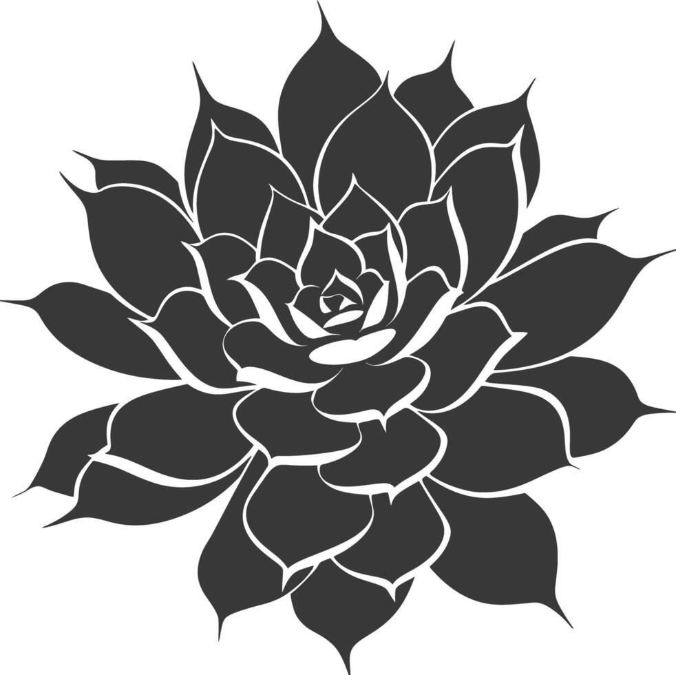 Silhouette Succulent plant black color only vector