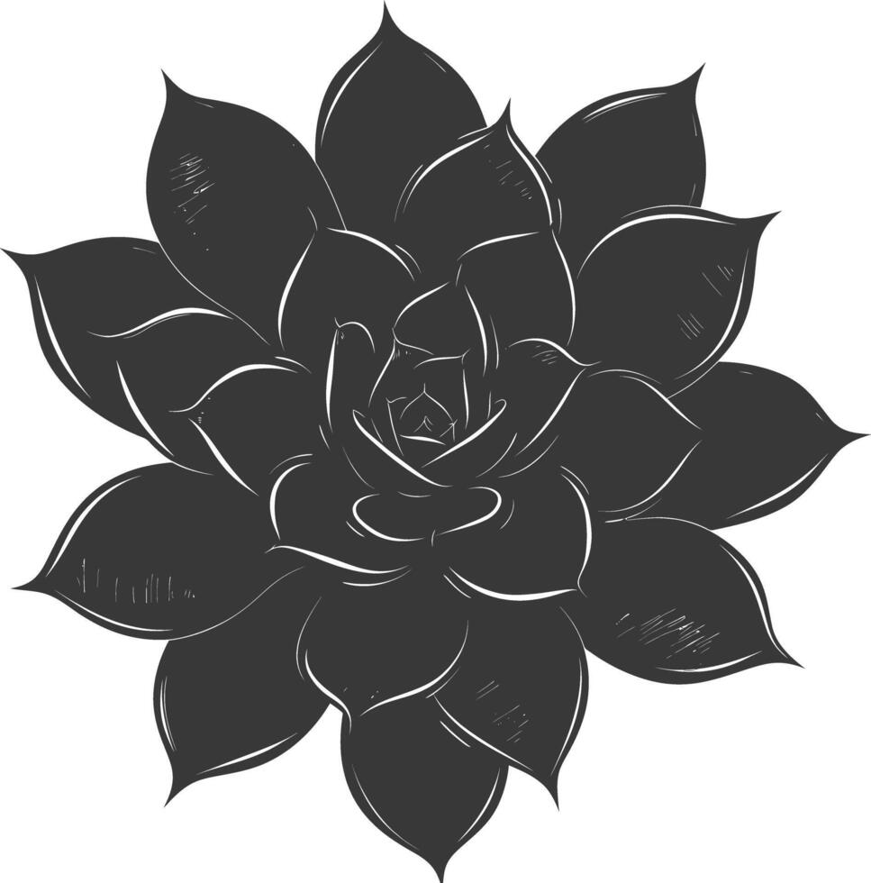 Silhouette Succulent plant black color only vector