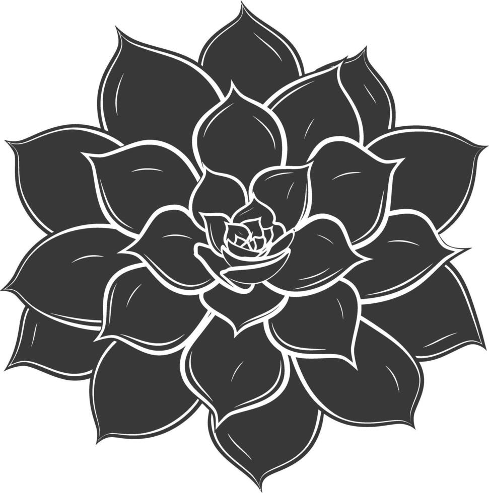 Silhouette Succulent plant black color only vector