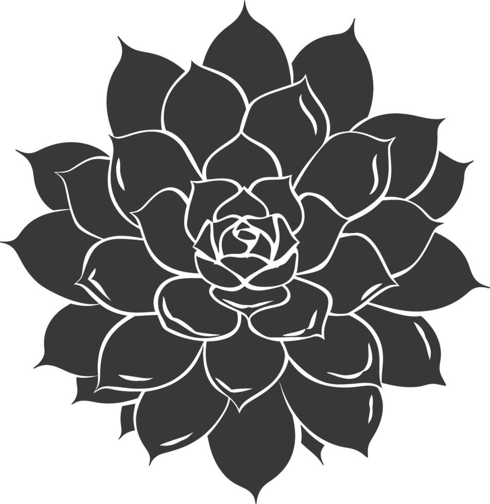 Silhouette Succulent plant black color only vector