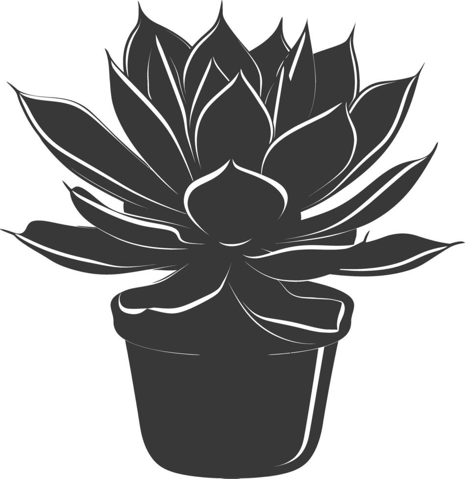 Silhouette Succulent plant black color only vector