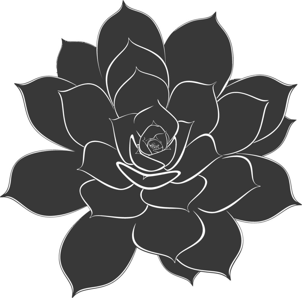 Silhouette Succulent plant black color only vector