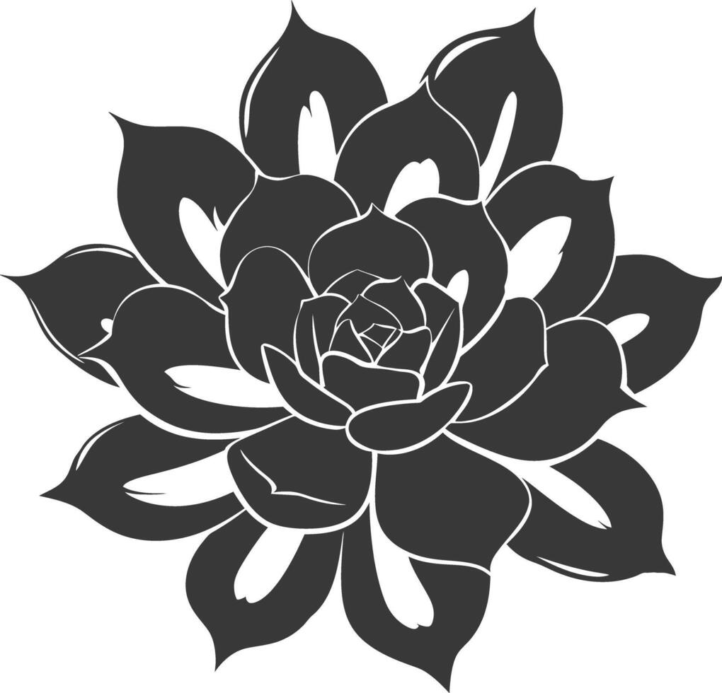 Silhouette Succulent plant black color only vector